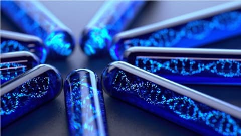 فيروسات ضخمة آكلة للبكتيريا تغلق الفجوة بين الحياة واللاحياة