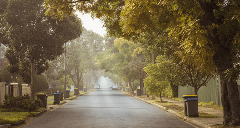 الأشجار تنمو أسرع وتموت أبكر وتمتص كميات أقل من الكربون