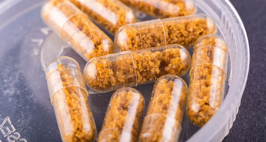 زرع البراز قد يكون سر الشباب الأبدي