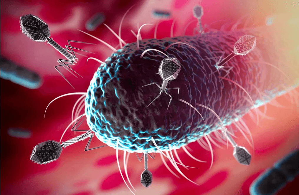 اكتشاف الكائن الذي يأكل الفيروسات