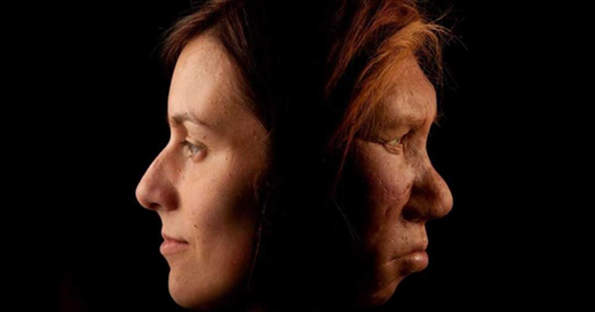 قصة الحرب التي نشبت بين الإنسان والنياندرتال واستمرت أكثر من مئة ألف عام