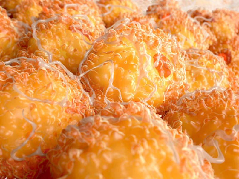 دراسة تربط الدهون البنية بنتائج صحية أفضل