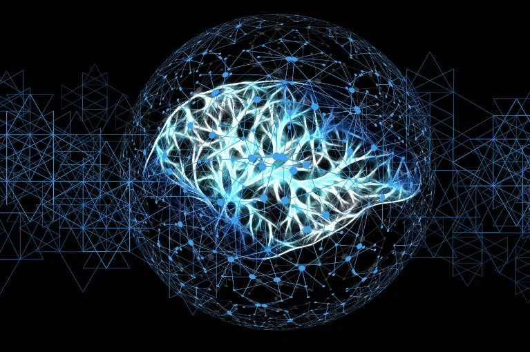 كيف تستعيد أدمغتنا مفاهيم ما نعرفه عن العالم؟