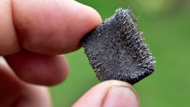 صناعة المغناطيس الأنحف: مغناطيس ثنائي الأبعاد بسمك ذرة واحدة