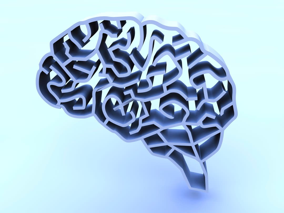 نظام نقل الدهون في أجسامنا قد يسبب داء ألزهايمر