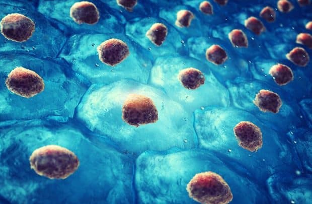 مقاربة جديدة لإصلاح أذية العصب بمساعدة الخلايا الجذعية