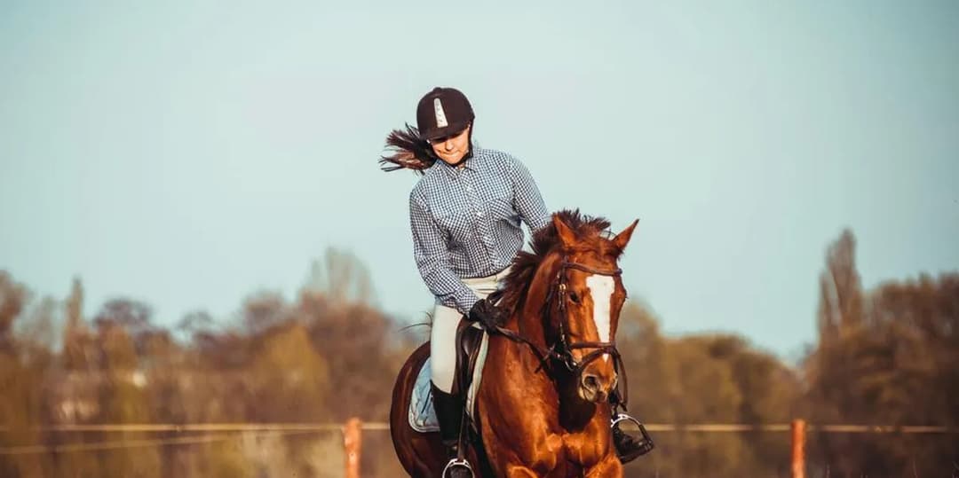 أيهما أخطر ركوب الخيل أم الدراجة النارية؟