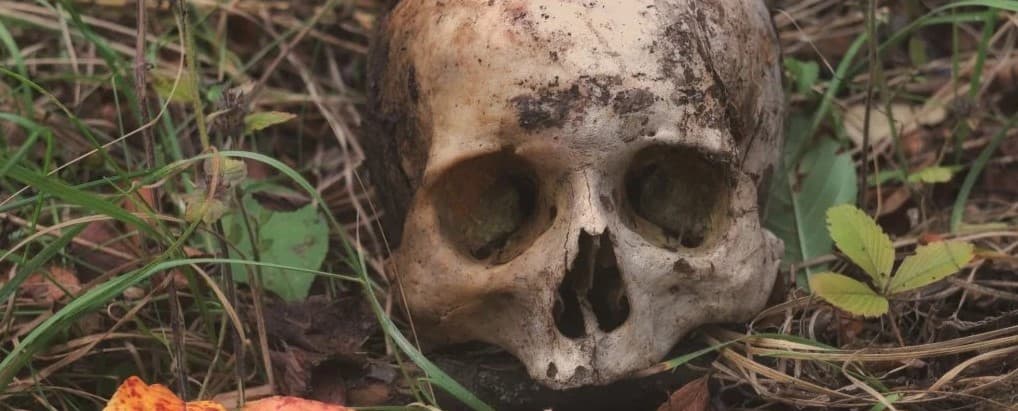 رصد حركة لجثث الموتى حتى عام بعد الوفاة!