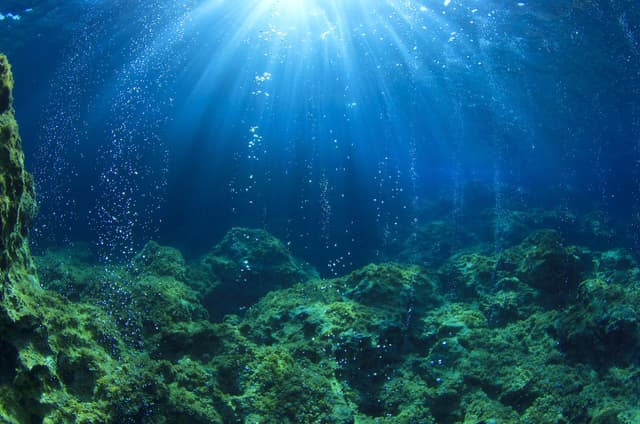 اكتشاف كائنات دقيقة تنتج الأكسجين بمفردها في الظلام دون الحاجة إلى الشمس