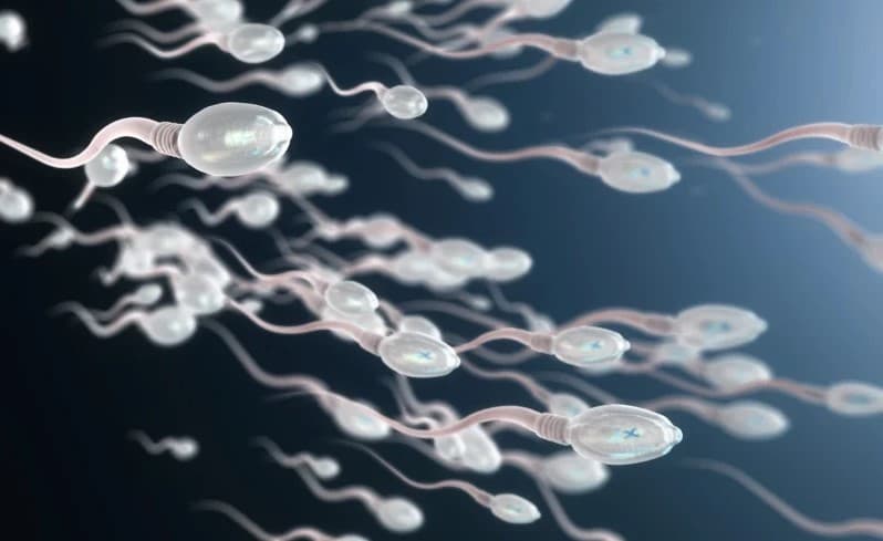 تسخين الخصيتين بالجسيمات النانوية: طريقة مستقبلية لتحديد النسل!