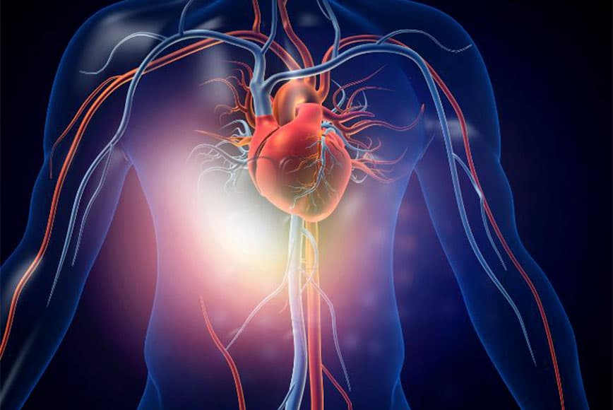 اكتشاف تقنية جديدة قد تكون مفتاح علاج أمراض القلب