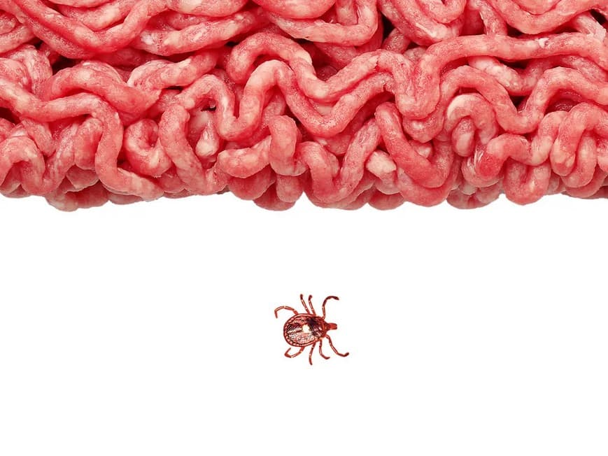 من الممكن الإصابة بحساسية تجاه اللحوم الحمراء خطأً!