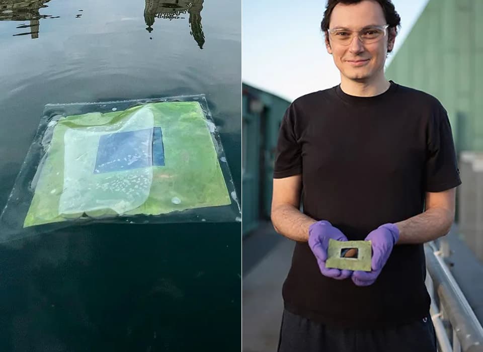 تطوير أوراق شجر اصطناعية عائمة تصنع وقودًا غير ملوث باستعمال الماء وأشعة الشمس