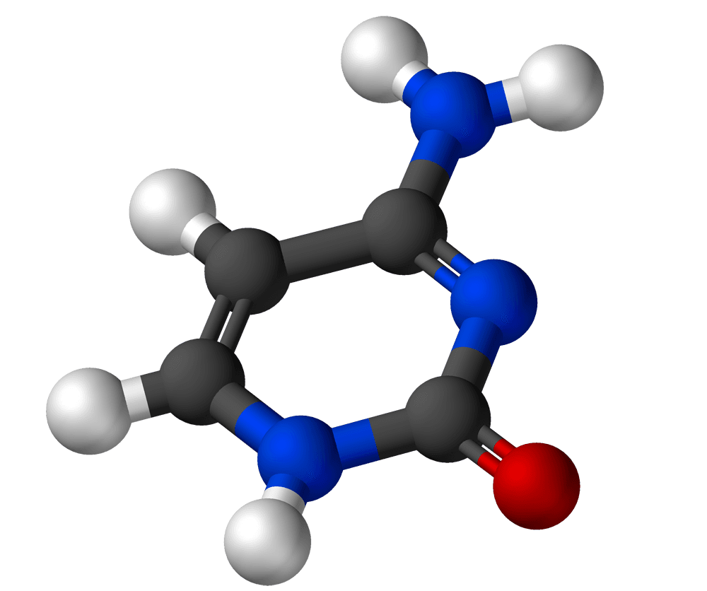 السيتوزين Cytosine: كل ما تريد معرفته