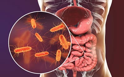 الإسهال الدموي الذي تسببه الإشريكية القولونية: الأعراض والتشخيص والعلاج