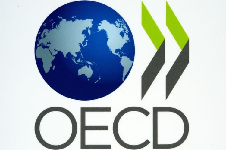 قيادة ماثياس كورمان لمنظمة التعاون الاقتصادي: لماذا تثير قلق الاقتصاديين؟