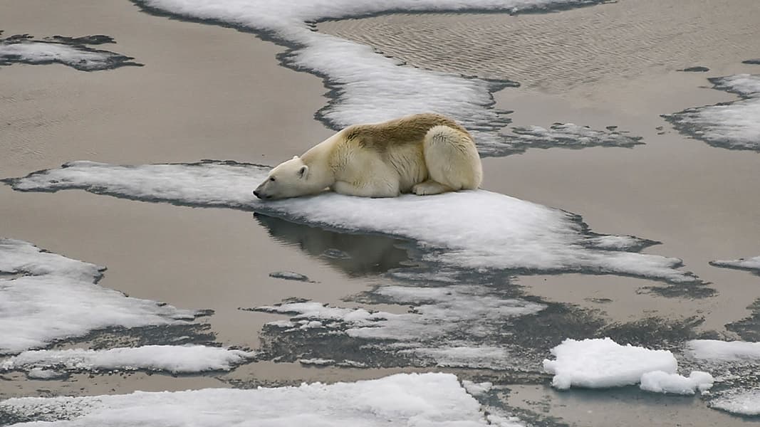 ما سبب تزايد ذوبان الجليد في القطب الشمالي بعد العاصفة التي ضربته؟