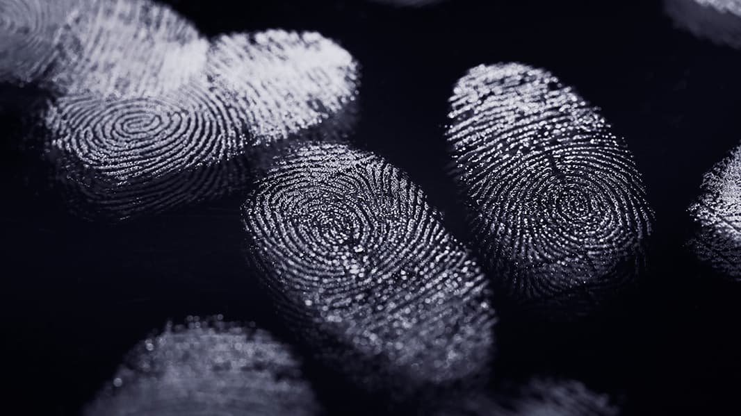 ما الرابط بين خطوط الحمار الوحشي وبصمات أصابعنا؟