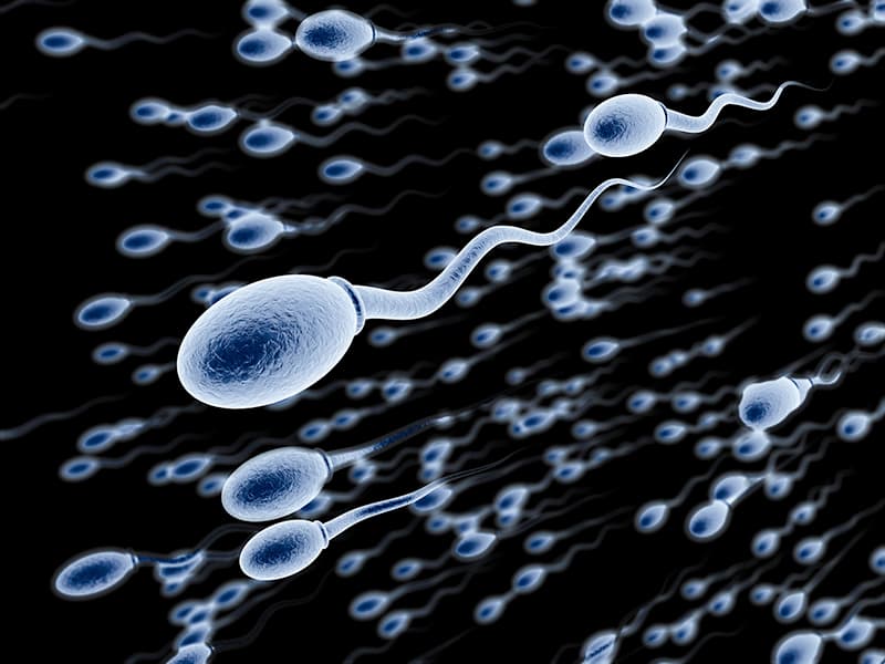 هل يمكن أن أصاب بحساسية من السائل المنوي؟ الإجابة قد تكون نعم!