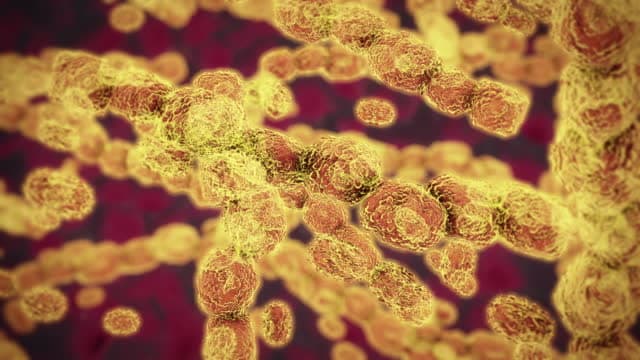التهاب السحايا بالمكورات العنقودية: الأسباب والأعراض والتشخيص والعلاج