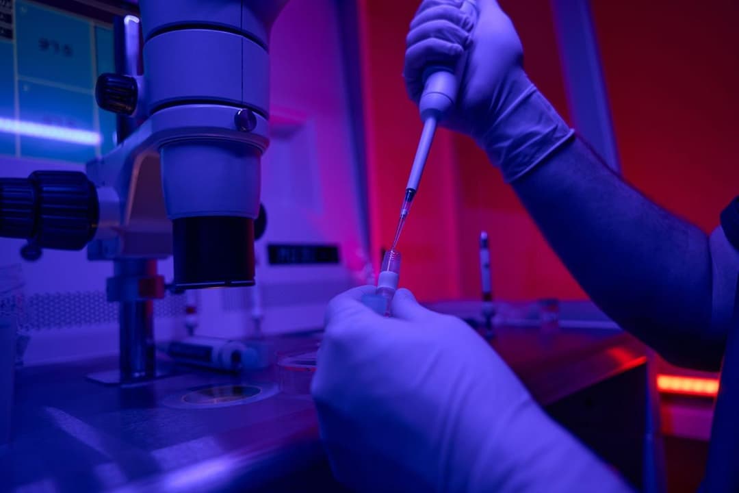 لأول مرة تطوير جنين بدماغ وقلب نابض من الخلايا الجذعية