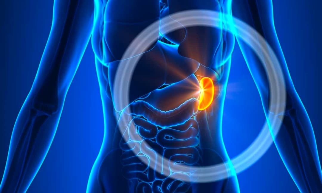 تمزق الطحال: الأسباب والأعراض والتشخيص والعلاج