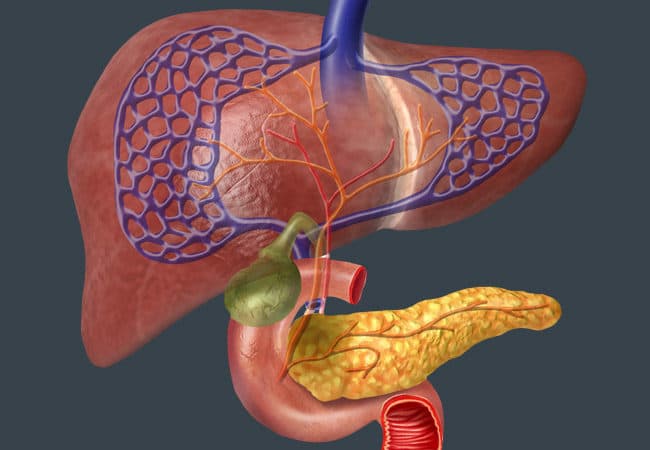 تصوير البنكرياس والقناة الصفراوية بالمنظار (ERCP)