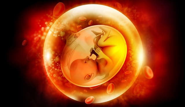 نجاح أول عملية لزرع الرحم في المملكة المتحدة.. مع كثير من التساؤلات حولها