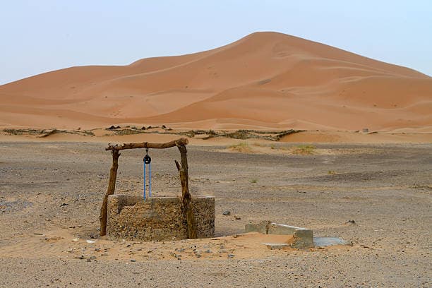 كيف نجت هذه المجموعة في الصحراء بمورد مائي وحيد؟