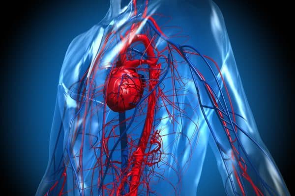كثرة الكريات الإهليلجية الوراثي: الأسباب والأعراض والتشخيص والعلاج