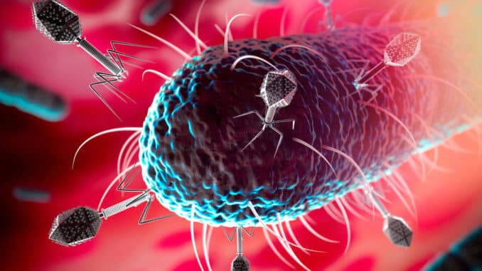 تجرثم الدم: الأسباب والأعراض والتشخيص والعلاج