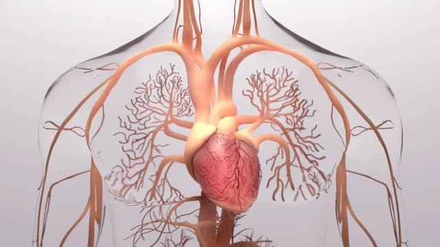 ارتفاع التوتر الرئوي: الأسباب والأعراض والتشخيص والعلاج