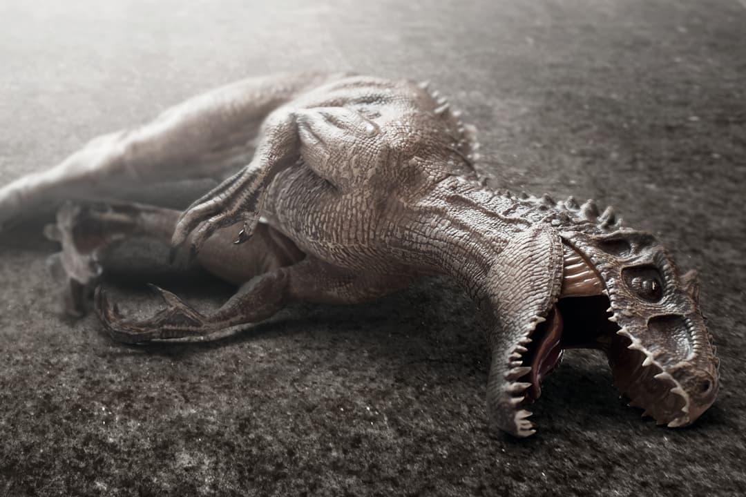 كم كان يبلغ متوسط أعمار الديناصورات؟