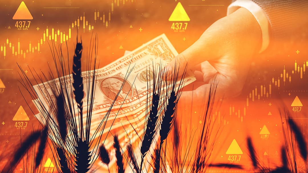 ما الذي سيشعل سوق السلع عام 2024