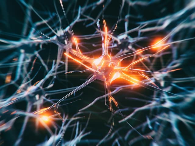 يمكن معرفة ما إذا كان شخص ما مضطرب نفسيًا عبر مشاهدة حركة رأسه