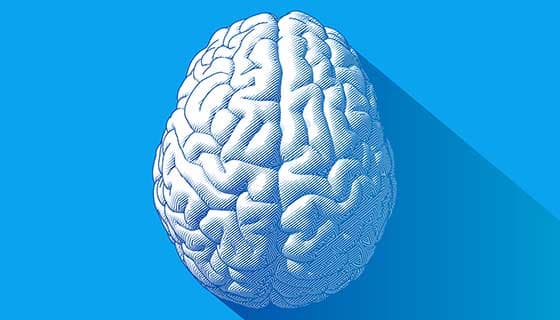هل نستخدم 10٪ فقط من أدمغتنا فعلًا؟