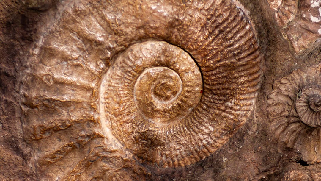 120 مليون سنة من تاريخ الأرض الجيولوجي يكشفها أحد الأماكن في كندا