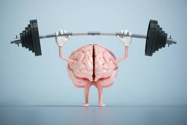 ماذا تعني ذاكرة العضلات؟