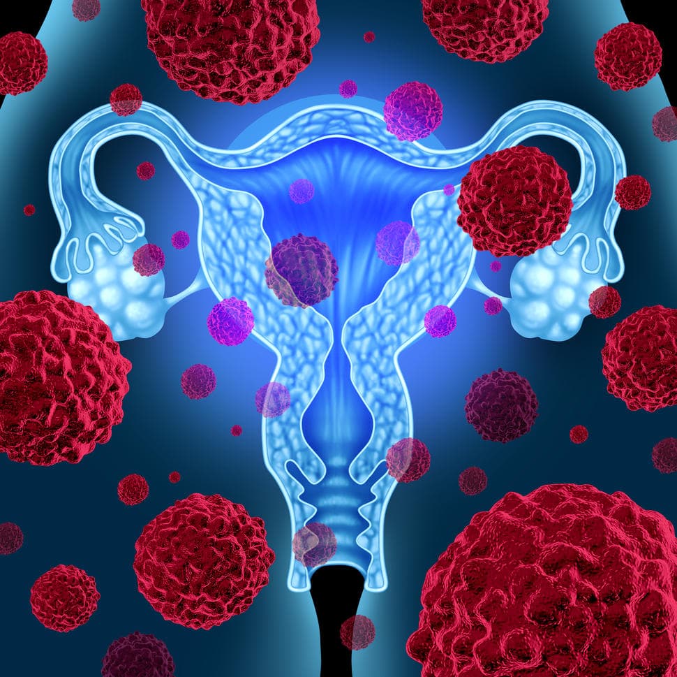 سماكة بطانة الرحم: الأعراض والعلاج