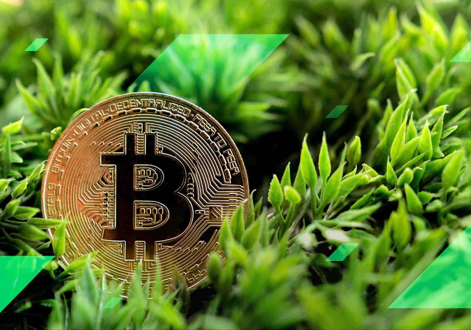 هل ستصبح العملات الرقمية صديقة للبيئة؟