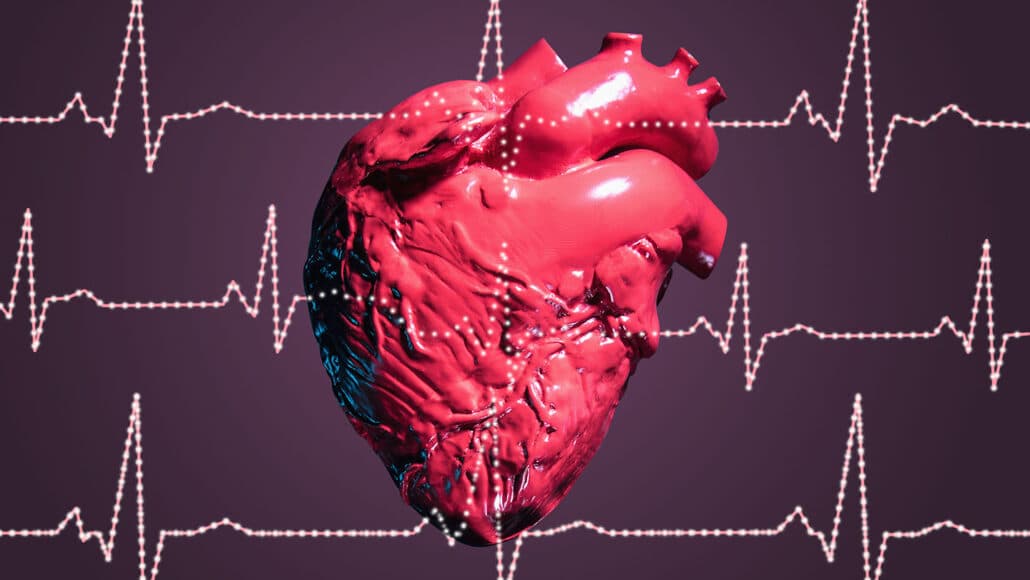 يمتلك القلب عقلًا خاصًا به، وهو أمر معقد بطريقة مدهشة!