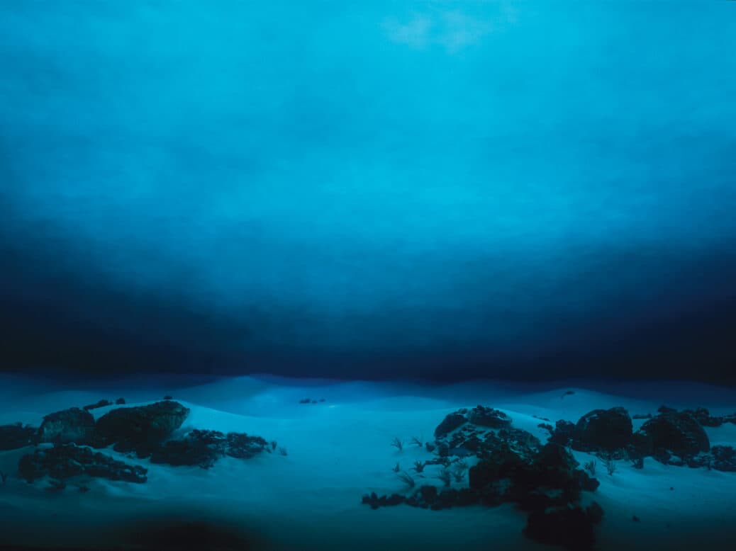 أعماق مجهولة: دراسة تكشف أن 99.999% من قاع المحيطات ما زال غير مُستكشف