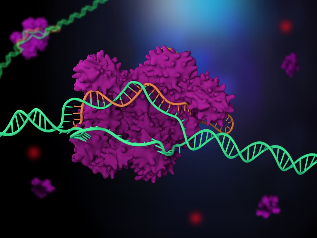 بديل جديد لتقنية CRISPR ينسخ جينات كاملة ويمهد الطريق لعلاج الاضطرابات الوراثية