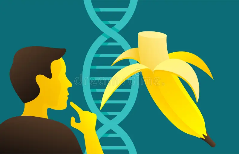 هل نتشارك حقًا 60% من حمضنا النووي مع الموز؟