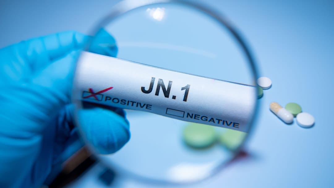المتحور JN.1 هو الآن المتحور الأكثر انتشارًا عالميًا