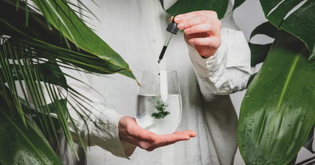 الكلوروفيل والكولاجين: هل يدعم العلم المعلومات المنتشرة عن المكملات الشائعة؟