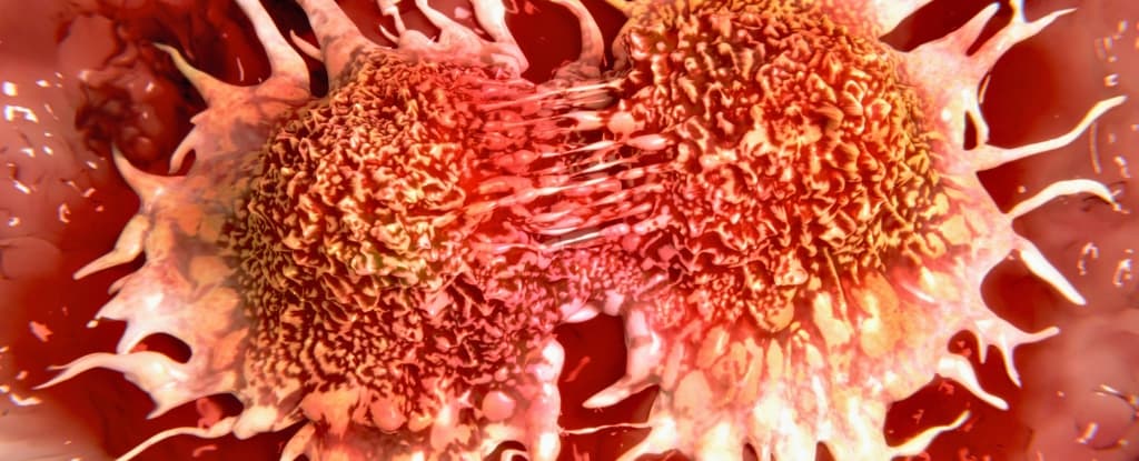 دراسة: فيروسات شائعة قد تُوقظ خلايا سرطان الثدي الخاملة