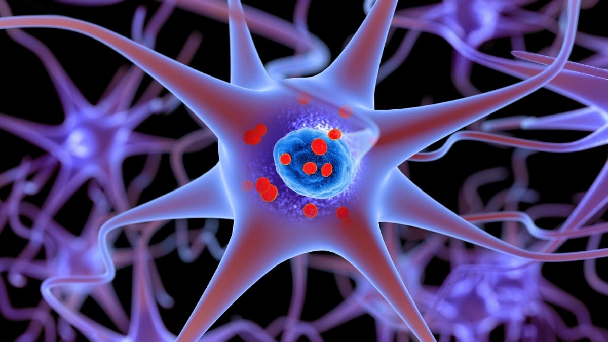 ببتيد صغير يمكنه تجميد البروتينات المسؤولة عن الإصابة بداء باركنسون