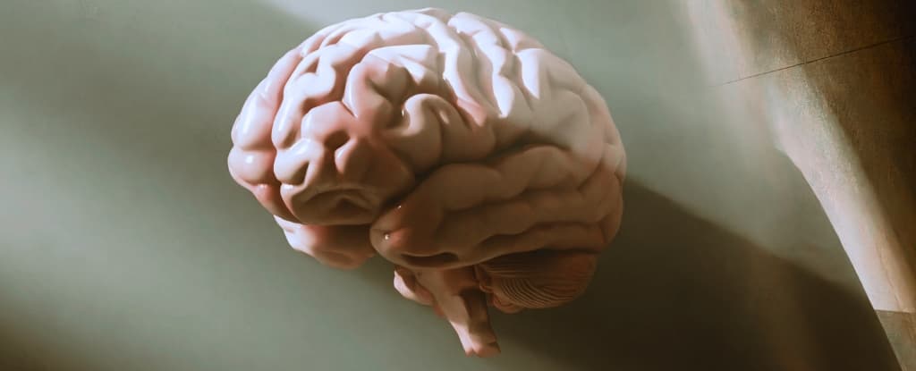 نوم أسوأ، دماغ أكبر سنًا