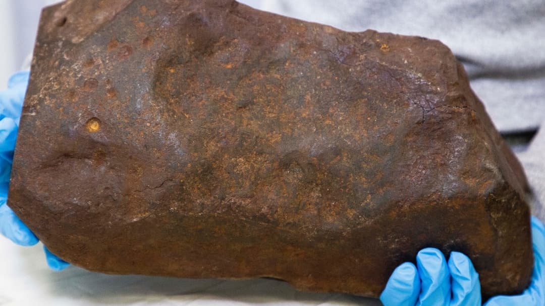 رجل يحتفظ بصخرة لسنوات ظنًّا أنها ذهب لكنها كانت أثمن بكثير مما تخيل!